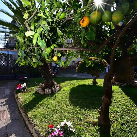 Casa Giulia Posillipo Wide Apartment Naples